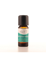 EUKALYPTUS radiata (BIO), Jophiel 10ml