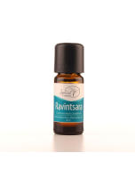 RAVINTSARA (BIO) ätherisches Öl, Jophiel 5ml